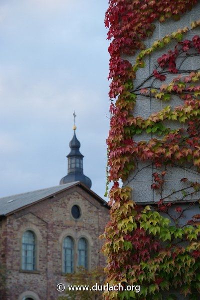 2009 - Perspektive im Weiherhof