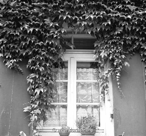 Fenster. Wer wei wo? ca. 1986