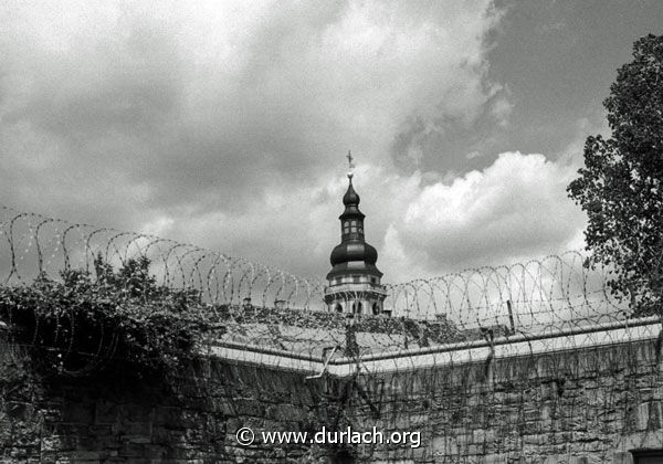 Blick ber die Mauer, 1989