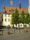 Maibaum 2007