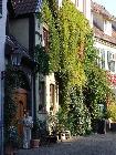 Bienleinstorstrasse 2007