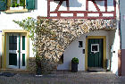An der Stadtmauer, 2008 An der Stadtmauer, 2008