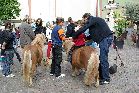 Kerwe 2008 044 Kerwe 2008 044