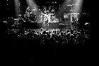 1988 - Klaus Lage in der Festhalle 1988 - Klaus Lage in der Festhalle