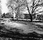 Alter Friedhof Alter Friedhof