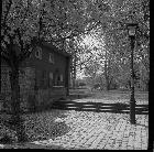 Alter Friedhof ca. 1981