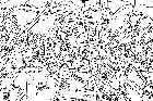 Stadtplan 1937 Stadtplan 1937