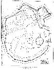 Plan Durlach 1688