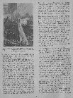 Wir Werkszeitschrift der Gritzner-Kayser AG April 1955 - Seite 4 Wir Werkszeitschrift der Gritzner-Kayser AG April 1955 - Seite 4