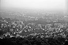 Blick vom Turmberg_5