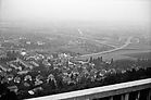 Blick vom Turmberg_10