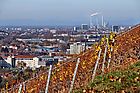 2015 - Blick ber den Weinberg auf die Stadt