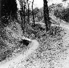 Rittnertstraße Rittnertstraße