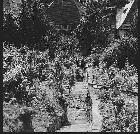 In den Weinbergen, ca. 1982 In den Weinbergen, ca. 1982