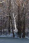 Oberwald im Schnee Dez. 2010