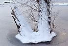 Oberwald im Schnee Dez. 2010