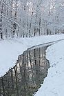 Oberwald im Schnee Dez. 2010