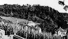 Guggelensberg - 1951 Guggelensberg - 1951