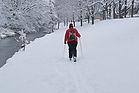 Schneelandschaft an der Pfinz Dez. 2010