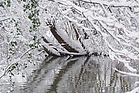 Schneelandschaft an der Pfinz Dez. 2010