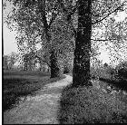 An der Pfinz ca. 1980