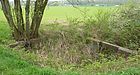 Wiesenwässerung in Durlach, Bild 7 Wiesenwässerung in Durlach, Bild 7