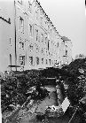 Pferdetränke 199? Pferdetränke 199?