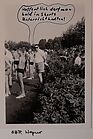 Schwimmfest Markgrafen-Gymnasium 1967