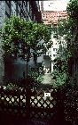 ca. 1985 - Hinterhof Rappenstrasse ca. 1985 - Hinterhof Rappenstrasse