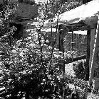 Idyllischer Hinterhof. Wer weiß wo und wann? Idyllischer Hinterhof. Wer weiß wo und wann?