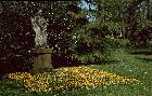 ca. 1982 - im Schlogarten