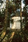 1982 - im Schloßgarten 1982 - im Schloßgarten