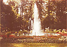 Schlossgarten Schlossgarten