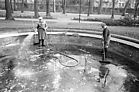 Schloßgarten Schloßgarten