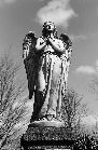 Friedhof 199? Friedhof 199?