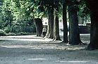Schloßgarten Schloßgarten