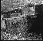 Im Schlossgarten. Ca. 1981 Im Schlossgarten. Ca. 1981