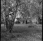 Alter Friedhof ca. 1982 Alter Friedhof ca. 1982