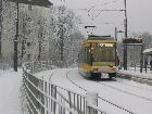 Linie 8 im Schnee