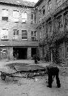 Ein neuer Teich im Hof der Orgelfabrik, 1989 Ein neuer Teich im Hof der Orgelfabrik, 1989