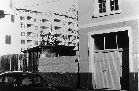 Blumentor 1981