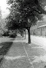 Marstallstrasse - 1974