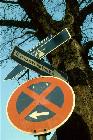 Kastanienbaum Ecke Leder- Bienleinstorstrasse Kastanienbaum Ecke Leder- Bienleinstorstrasse