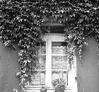 Fenster. Wer weiß wo? ca. 1986 Fenster. Wer weiß wo? ca. 1986