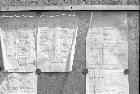 Speiseplan für Knackies, 1989 Speiseplan für Knackies, 1989