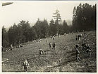 1903 - CVJM 1903 - CVJM